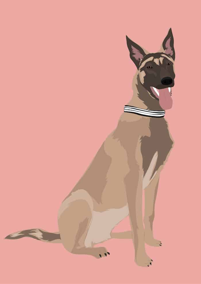 portrait chien dessin