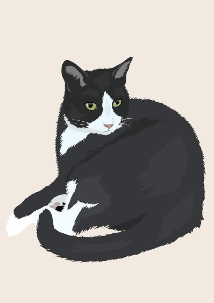 tableau personnalisé chat