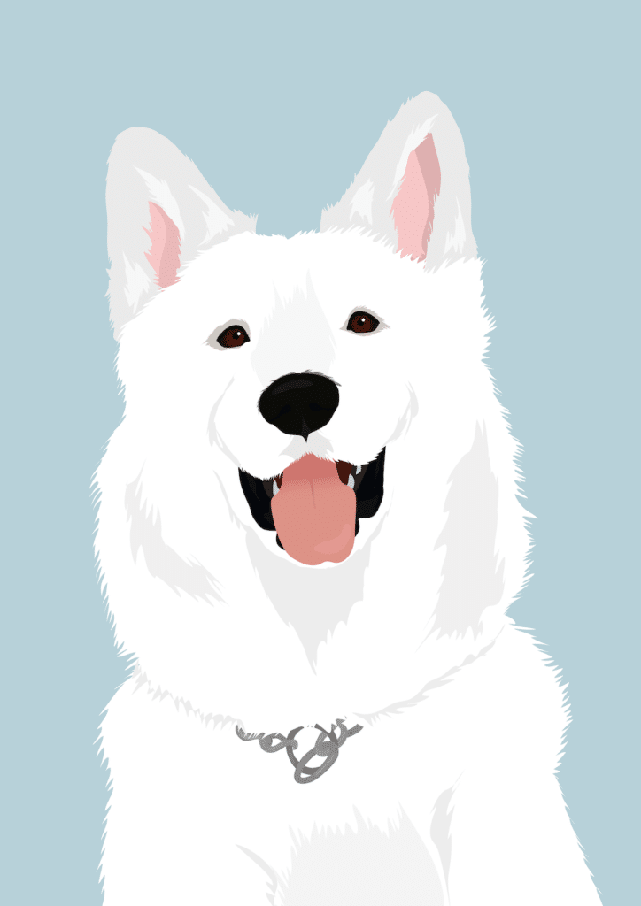 affiche animaux personnalisé